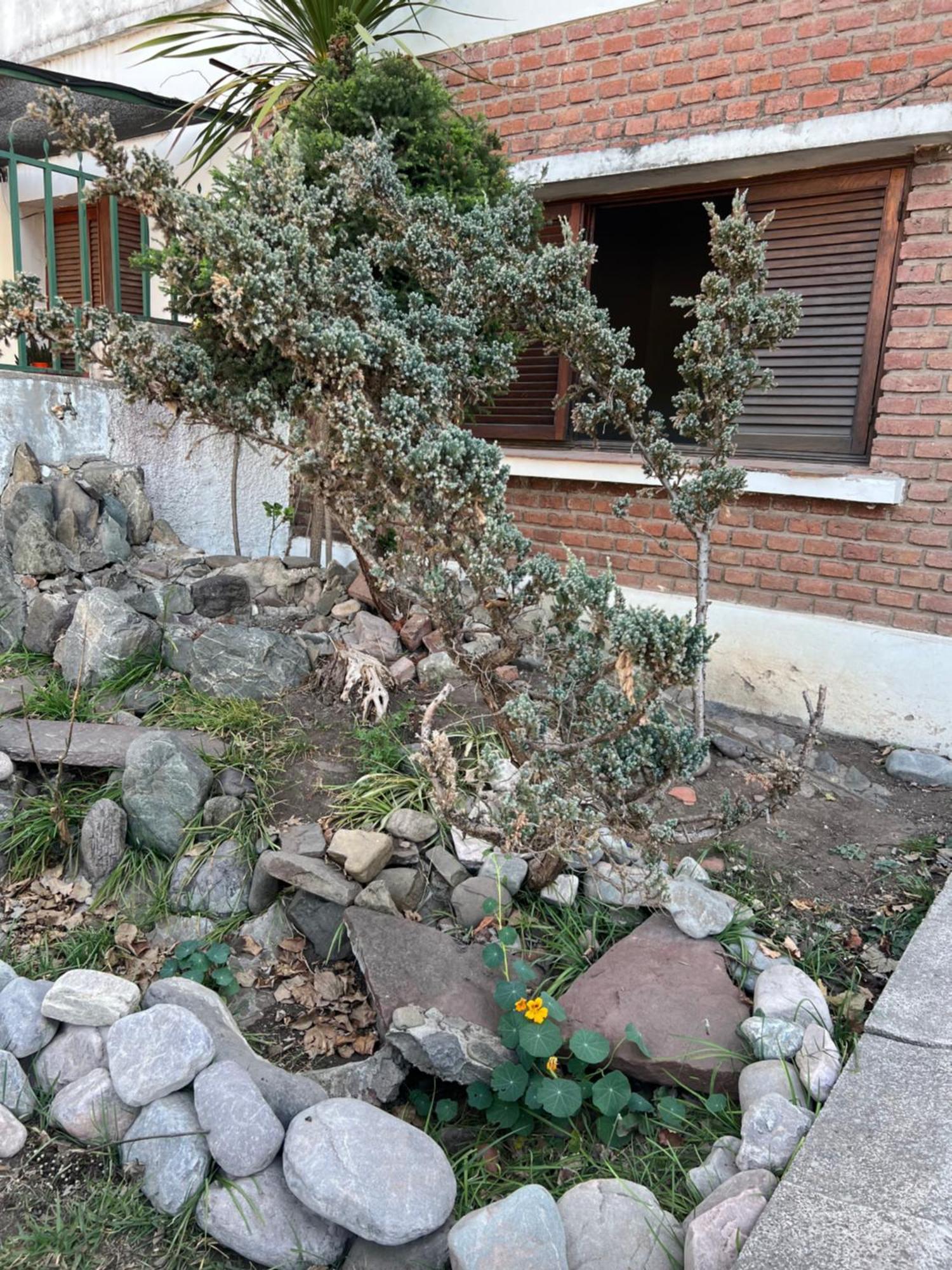 Cuyaya Hostel San Salvador de Jujuy Zewnętrze zdjęcie